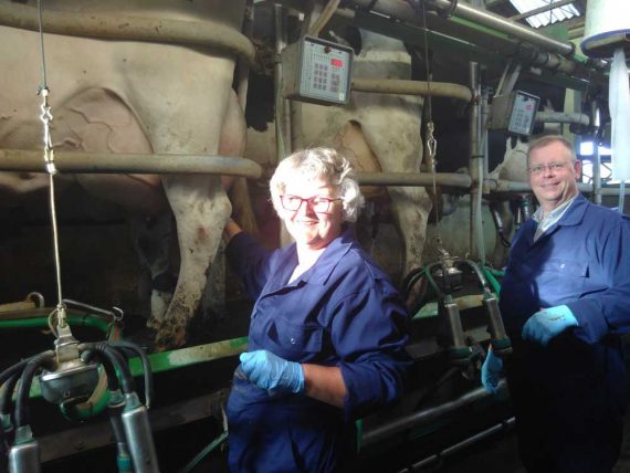 Dominees echtpaar van Swet melkt koeien op boerderij Weelderen